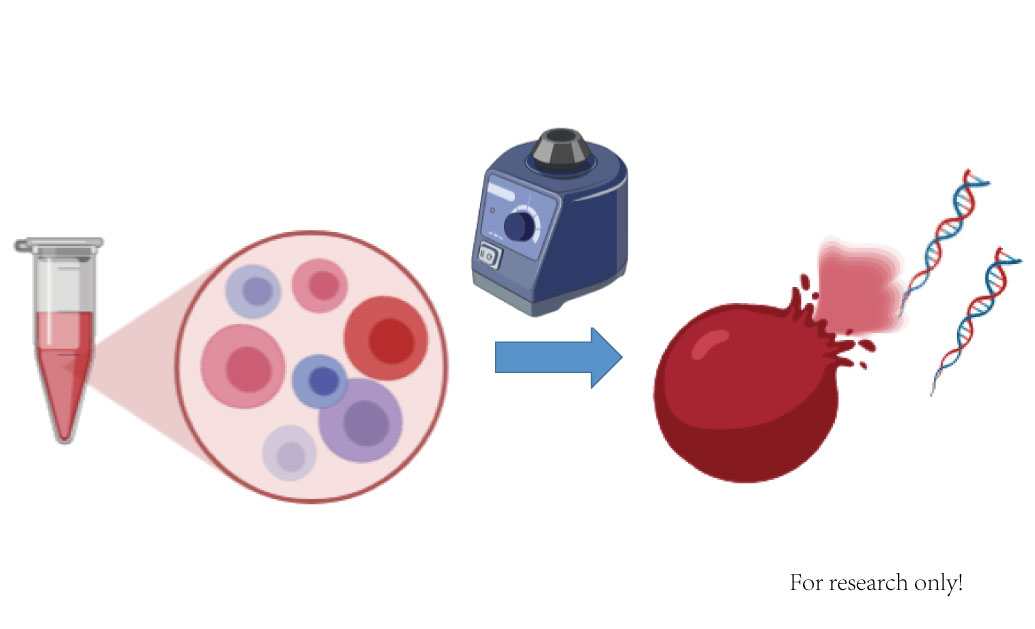 2.樣品裂解滅活2.jpg 2.樣品裂解滅活2.jpg