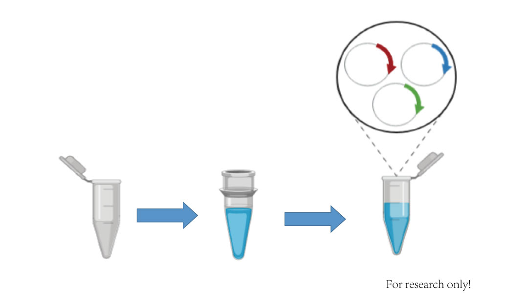 4試劑盒加入4.jpg 4試劑盒加入4.jpg