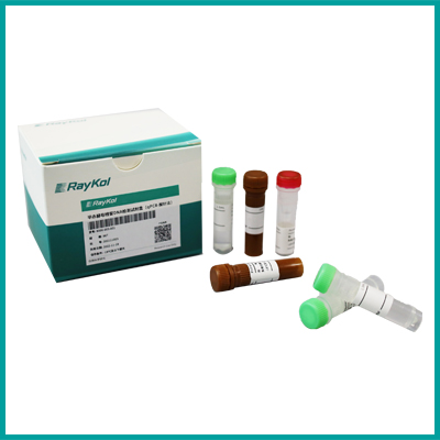 畢赤酵母殘留DNA檢測(cè)試劑盒（qPCR-探針法）