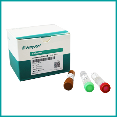 CHO殘留DNA檢測(cè)試劑盒（qPCR-探針法）