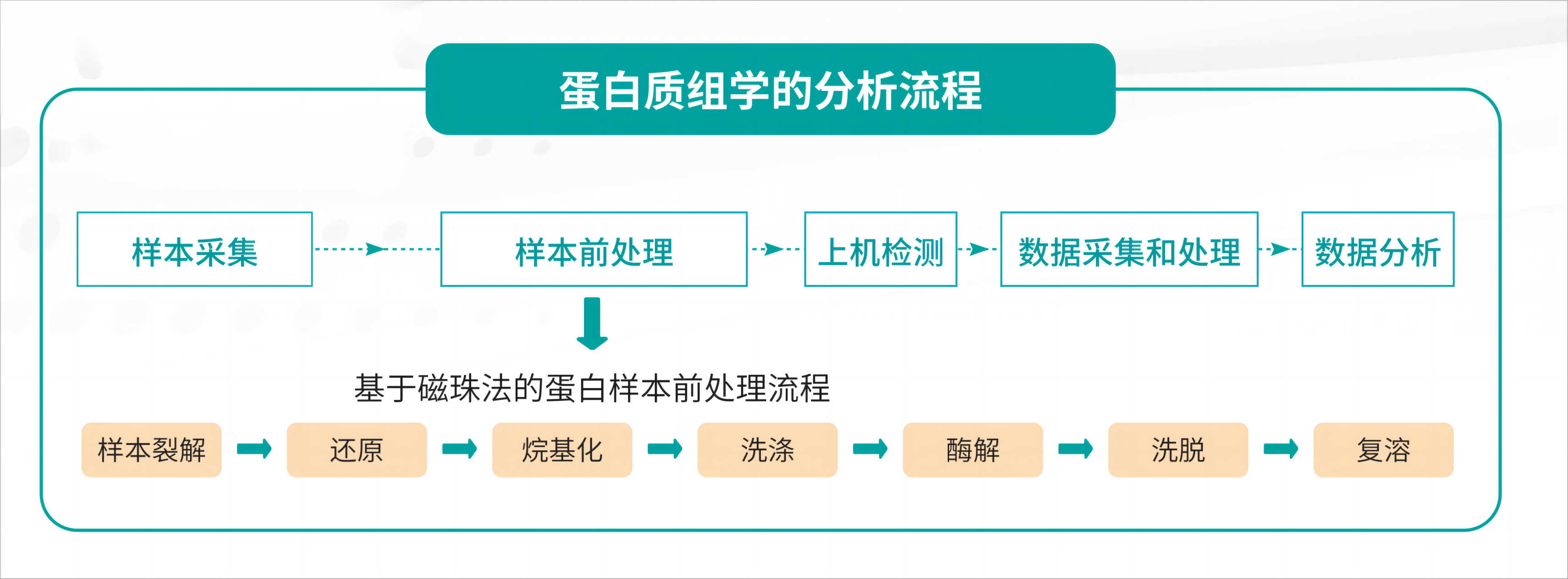 睿科_蛋白質樣本前處理解決方案_01(1)(1).png 睿科_蛋白質樣本前處理解決方案_01(1)(1).png